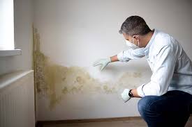 Best Residential Mold Inspection & Testing in USA